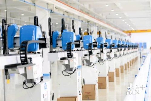 国际经贸调研 东莞市贸促会